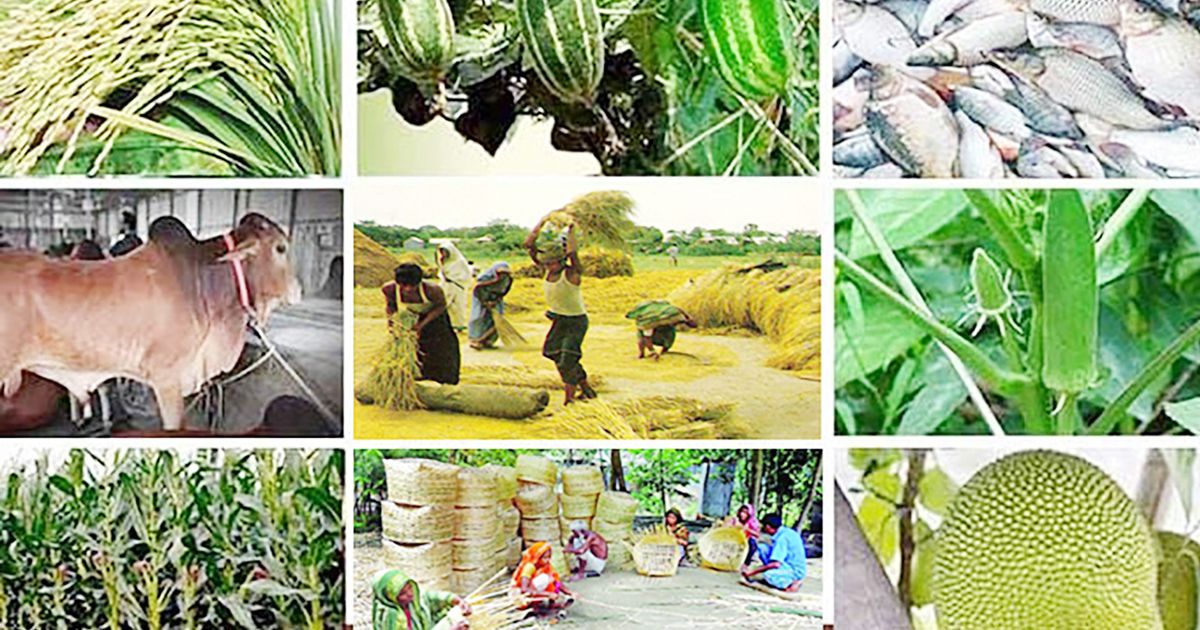 গ্রামীণ অঞ্চলে গরু পালন প্রত্যেকটা পরিবারের জন্য অত্যন্ত লাভজনক ও অর্থনৈতিক সমৃদ্ধি বৃদ্ধি প্রধান মাধ্যম। ।